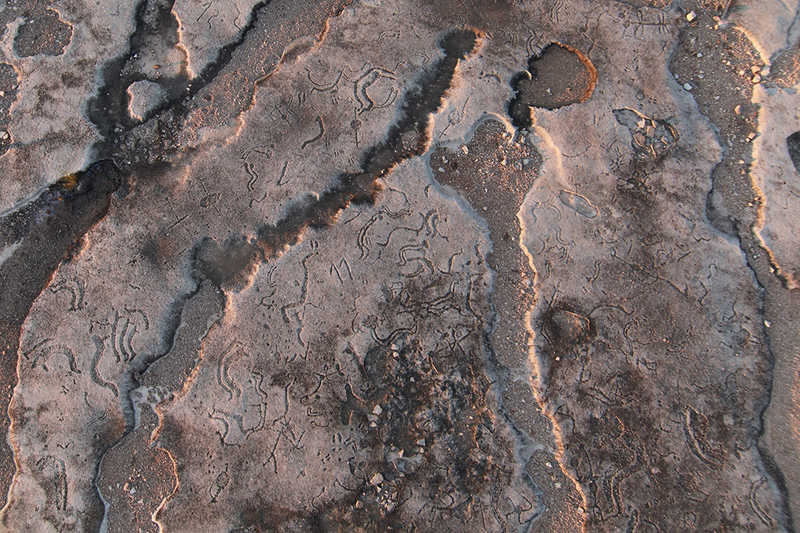 Illustration for article titled 36-Gigapixel Image Captures Ancient Petroglyphs in Texas